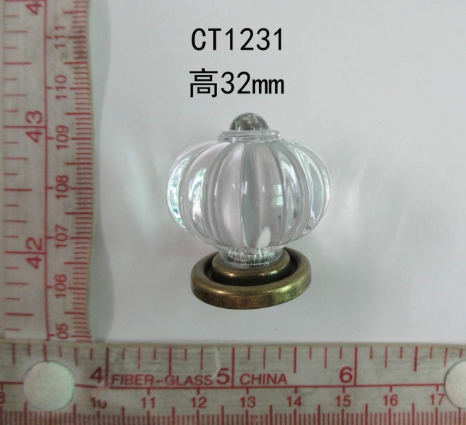 CT1231