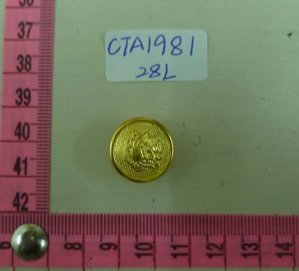 CTA1981