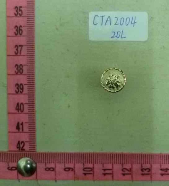 CTA2004