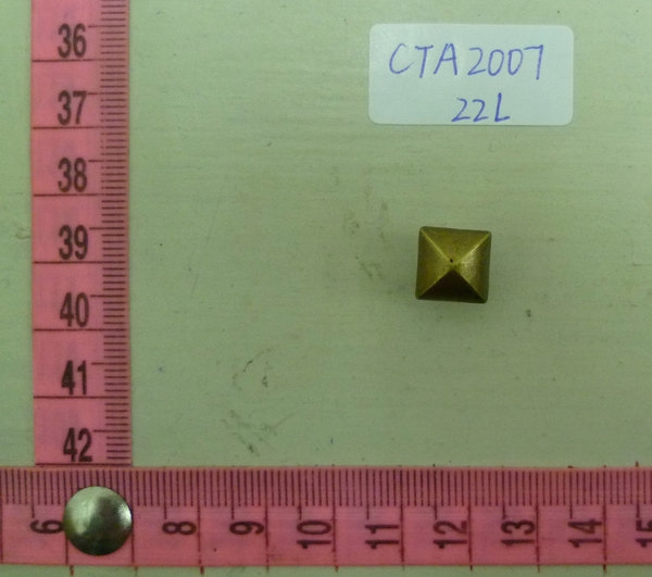 CTA2007