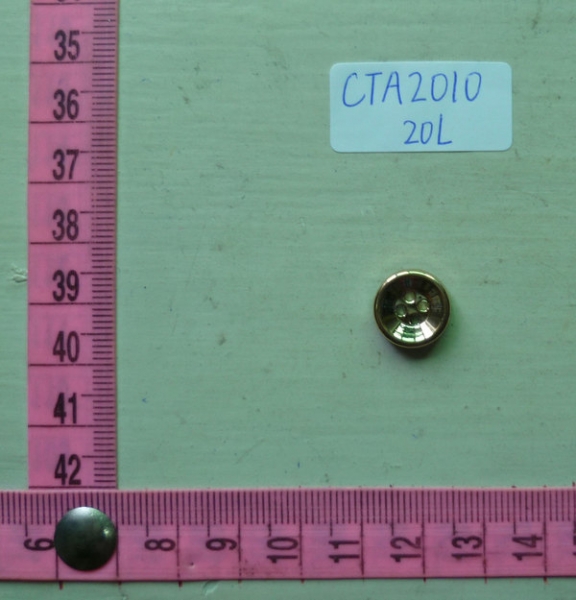 CTA2010