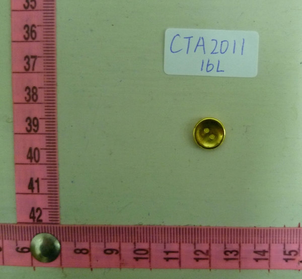 CTA2011