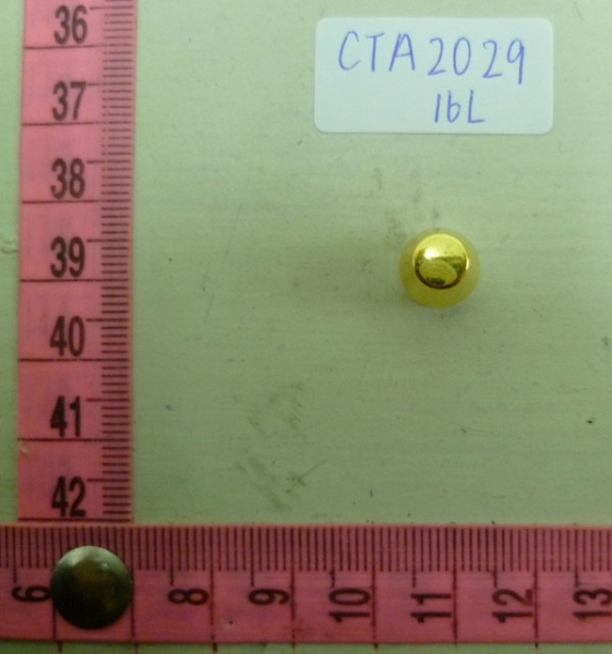 CTA2029