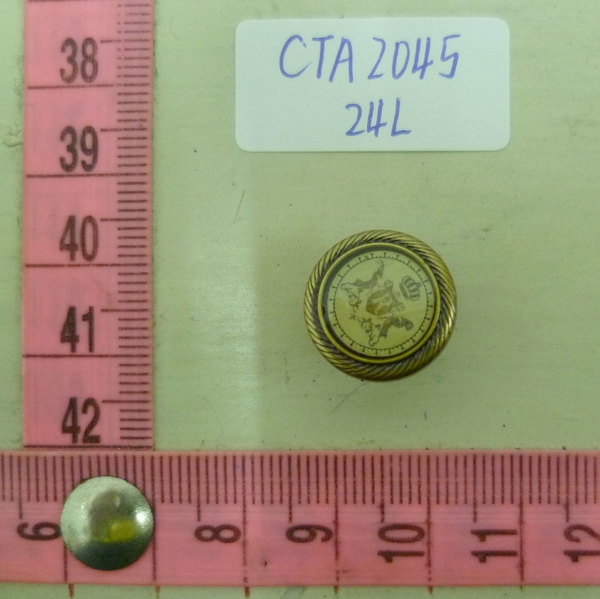 CTA2045