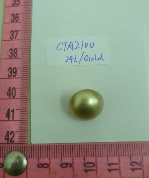 CTA2100