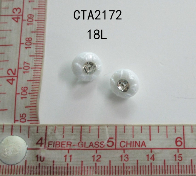 CTA2172