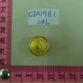 CTA1981