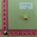 CTA1998