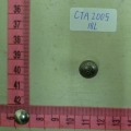CTA2005