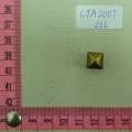 CTA2007