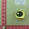 CTA2013