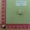 CTA2021