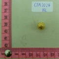 CTA2024