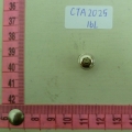 CTA2025