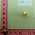 CTA2029