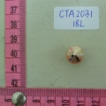 CTA2031
