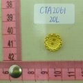 CTA2061