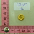 CTA2067