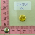 CTA2069