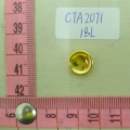CTA2071