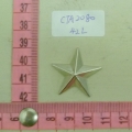 CTA2080