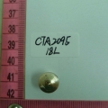 CTA2095
