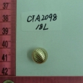 CTA2098
