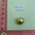 CTA2100
