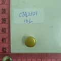 CTA2101