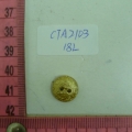 CTA2103