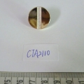 CTA2110