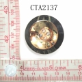 CTA2137
