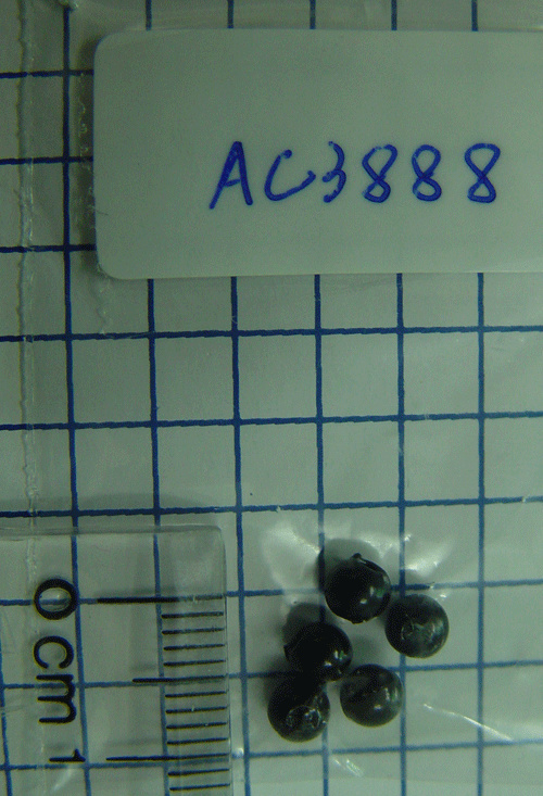 AC3888