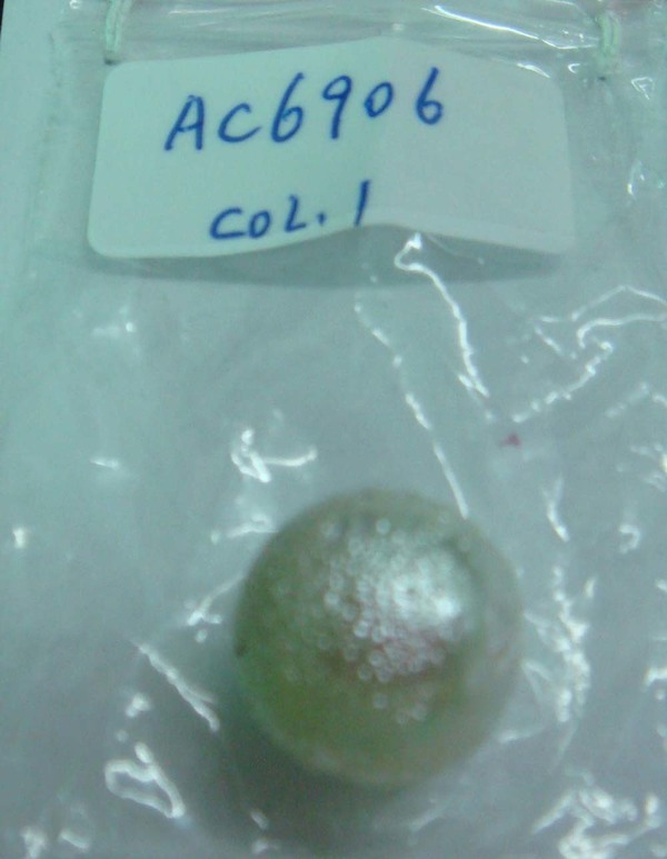 AC6906 COL.1