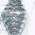 AC3568
