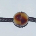 AC4575