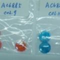 AC6885 COL.9-COL.10