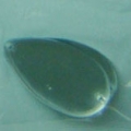 ACI0009