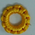 ACI0016