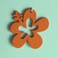 ACI0052