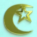 ACI0119