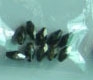 ACI0139