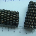 ACI0159