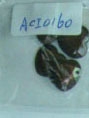 ACI0160