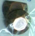 ACI0168