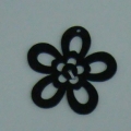 ACI0448