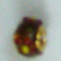 ACI0466
