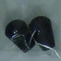 ACI0487