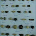 ACI0721-0739