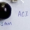 ACI1118